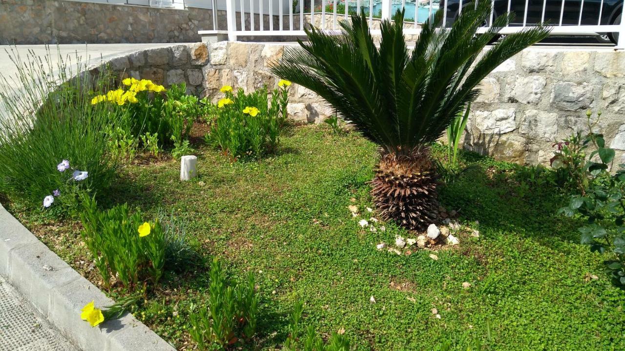 Guest House Eight Roses دوبروفينك المظهر الخارجي الصورة